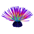 Colourful-S