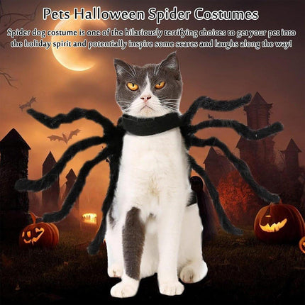 Pet Spooky Big Spider Halloween Costume Dress Up for Dogs Cats and Small Pets
