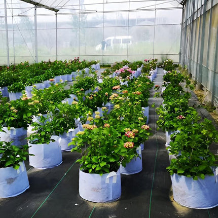 10pcs Non-Woven tree Planting Bags Thickened Nursery Pots for Balcony Garden