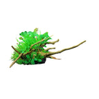 CM2403-Green