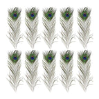 10PCS (26-30cm)