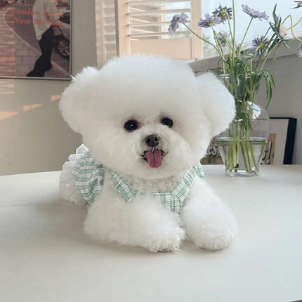 Plaid Pet Dress with Traction Buckle Slip Outing Clothes for Small Medium Pet
