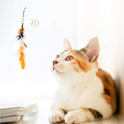 12PCS Kitten Cat Feather Toy Bell Wand Teaser Rod Interactive Play Pet Toys Gift - Aimall