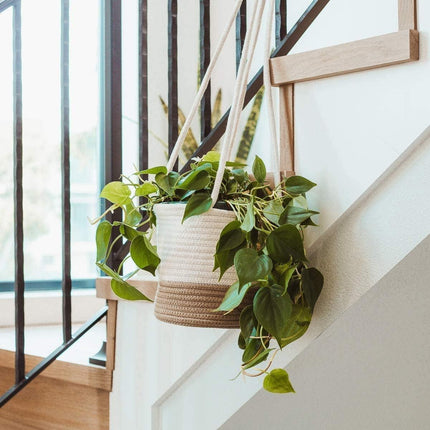 Hanging Storage Basket Wall Planter Decorative Hanging Basket for Plants Storage