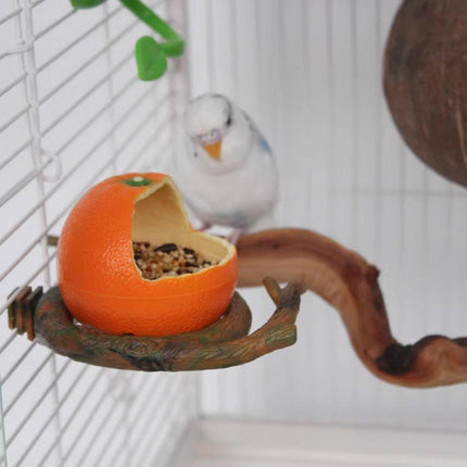 Parrot Feeding Bowl Fruit Shaped Water Food Container Dish Cage Bird Feeder Cup - Aimall