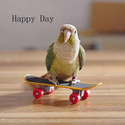 2pcs Parrot Finger Scooters Toys Interactive Parrot Play Scooter Set for Birds