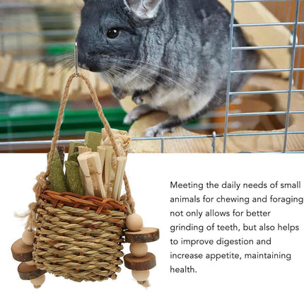 Pet Teething Stick Set Chew Toys for Hamster Dental Care Small Animal Supplies
