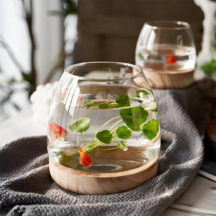 Japanese Style Small Glass Vases Fish Tank for Home Decor