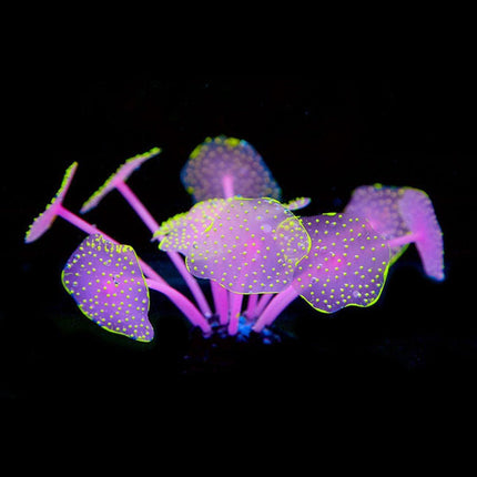 Silicone Artificial Aquarium Plants Underwater Fish Tank Decoration Decor Set