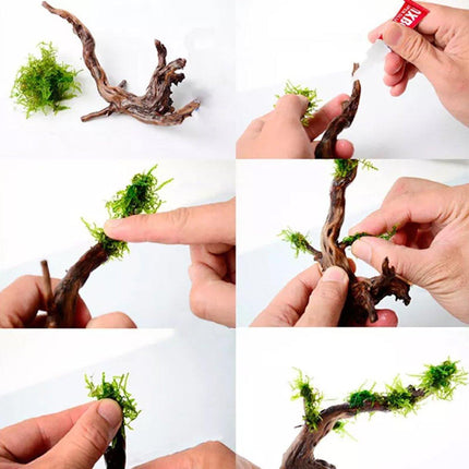 Yabo Gum Moss Seeds Water Grass Growth For Aquarium Aquatic Plant Care Supplies