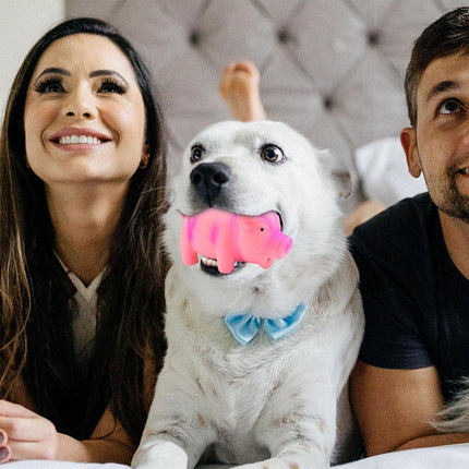 Bite Resistant Latex Pig Dog Toy Sounding Pet Chew Toy for Teething Puppies