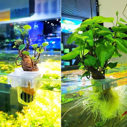 Adjustable Wall Mounted Aquatic Plant Cup for Emersed Plants Water Grass Holder