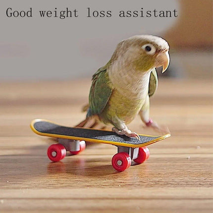 2pcs Parrot Finger Scooters Toys Interactive Parrot Play Scooter Set for Birds
