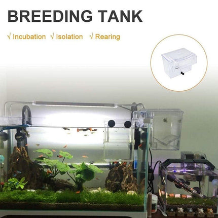 Outboard Isolation Breeding Box Guppy Hatch Feeding Pneumatic Electric Fish Tank