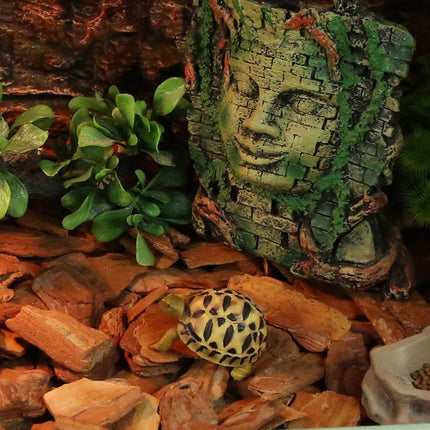 Reptile Bedding Substrate for Lizard Snake Tortoise Natural Bark Material