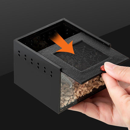  Lizard Reptile Breeding Box