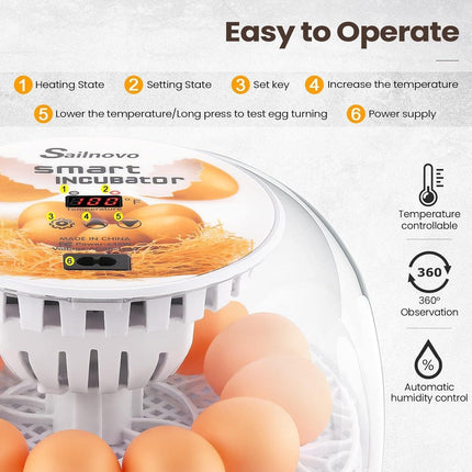 Automatic Small Egg Incubator for Chicken Pigeon Efficient Breeding Equipment
