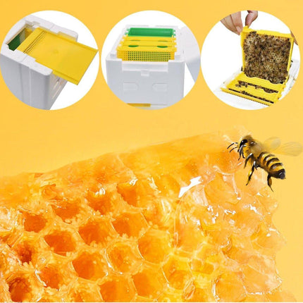 Foam Beekeeping Breeder Box Pollination Bucking Box Beehive Tool