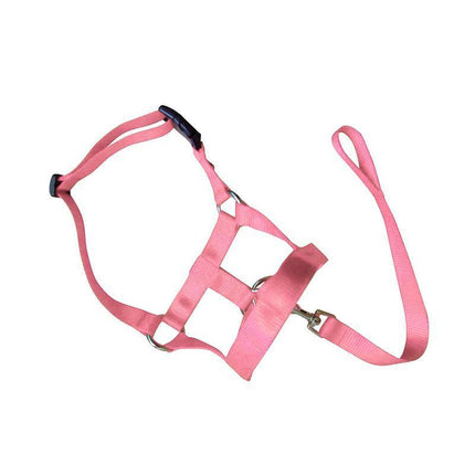 Pink Dog Training Head Collar Halter Stop Pulling Training Tool Harness Strap Leader - Aimall