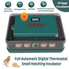 Fully Automatic Egg Incubator New 25 Capacity LED Display for Hen Duck Quail