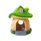 House With Window