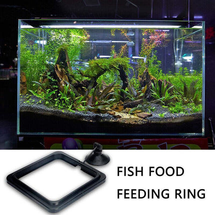 Fish Feeding Ring Aquarium Fish Tank Feeder Floating Fish Food Feeder Fish Food Black - Aimall