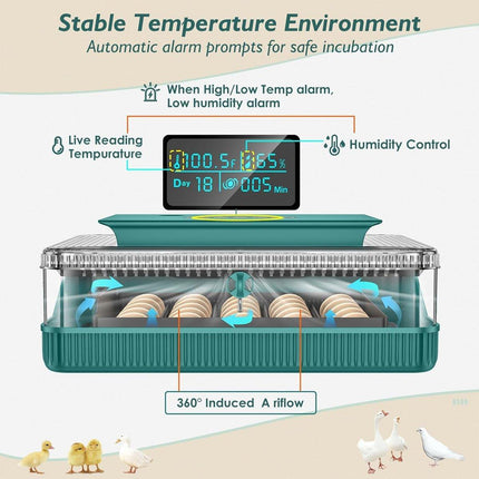Fully Automatic Egg Incubator New 25 Capacity LED Display for Hen Duck Quail