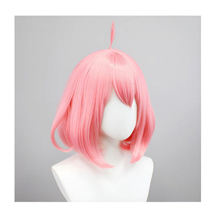 Spy House Ania Wig AU