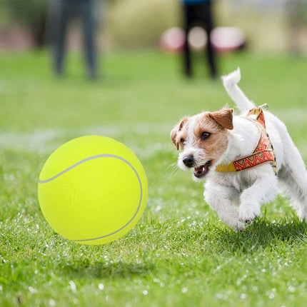 Inflatable Tennis Ball Pet Toy for Dogs Training Interactive Play Fetch Fun