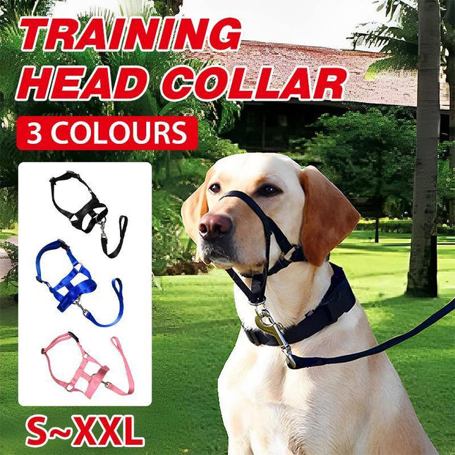 Pink Dog Training Head Collar Halter Stop Pulling Training Tool Harness Strap Leader - Aimall