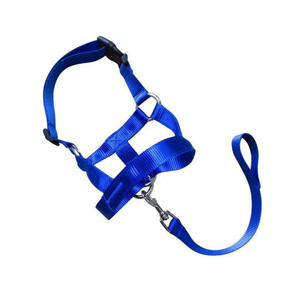Blue Dog Training Head Collar Halter Stop Pulling Training Tool Harness Strap Leader - Aimall