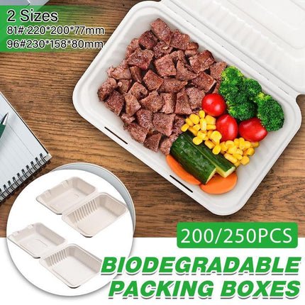 200/250PCS Biodegradable Compostable Ecofriendly Disposable Clamshell Food Box - Aimall