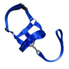 Blue Dog Training Head Collar Halter Stop Pulling Training Tool Harness Strap Leader - Aimall