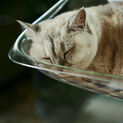Cat Hammock Bed Glass Hanging Basket Clear Pet Nest Elevated Sleeping Bed