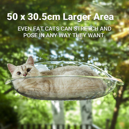 Cat Hammock Bed Glass Hanging Basket Clear Pet Nest Elevated Sleeping Bed