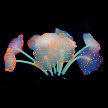 Silicone Artificial Aquarium Plants Underwater Fish Tank Decoration Decor Set