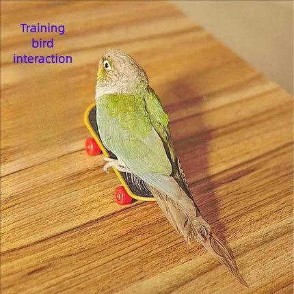 2pcs Parrot Finger Scooters Toys Interactive Parrot Play Scooter Set for Birds