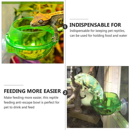 Suction Cup Reptile Feeder Anti-Escape Reptiles Water Bowl Live Fodder Container