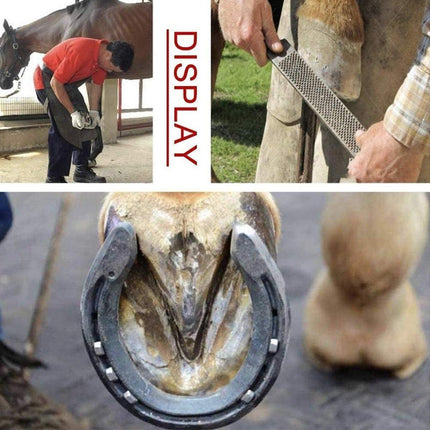 14 Inch Shoe Repair Tool Set Pliers Knife File Horseshoe Shear Hoof Trimming Kit