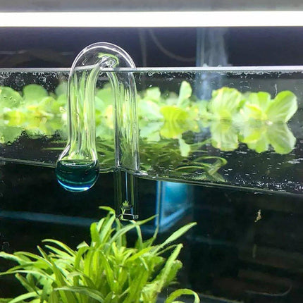 Aquatic CO2 Drop Checker Glass Aquarium Monitor Kit Accurate Fish Tank Tester