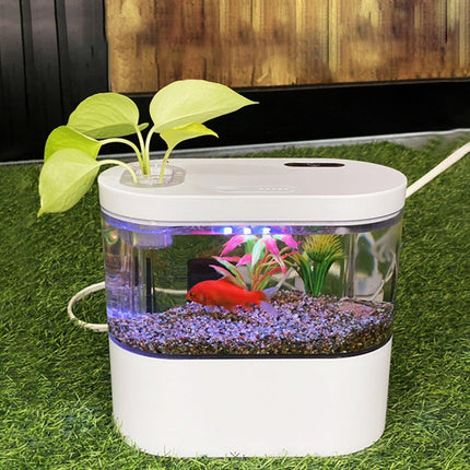 Mini Self-Circulating Desktop Fish Tank Eco-Friendly Creative Aquarium for Home