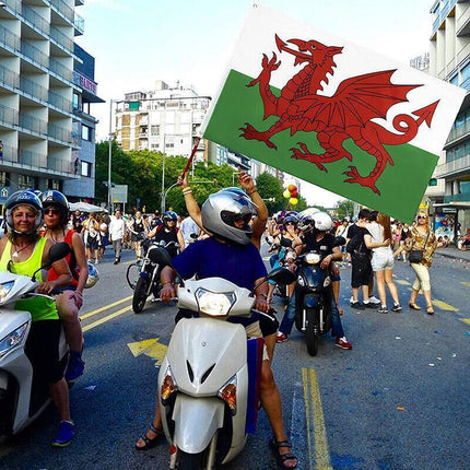 Large Wales Welsh Flag Heavy Duty Outdoor 90 X 150 CM - 3ft x 5ft - Aimall