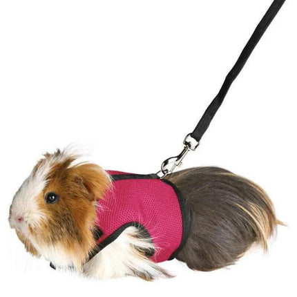 Small Animal Harness Guinea Pig Forret Hamster Rabbit Squirrel Vest Clothes Lead L Size - Aimall