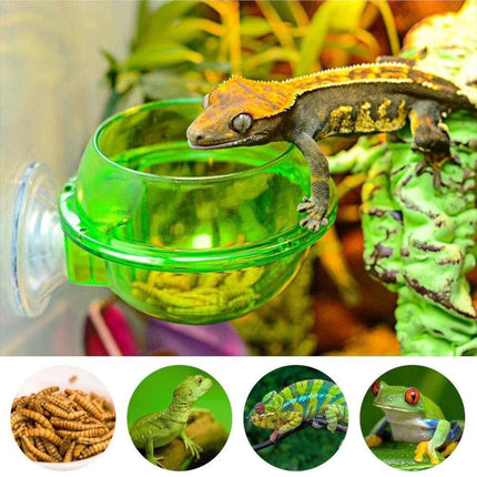 Suction Cup Reptile Feeder Anti-Escape Reptiles Water Bowl Live Fodder Container