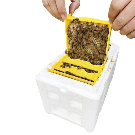Foam Beekeeping Breeder Box Pollination Bucking Box Beehive Tool