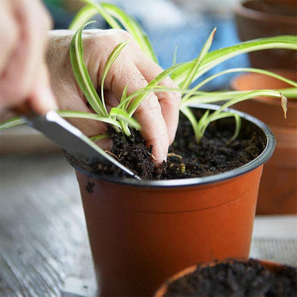 100PCS Plastic Plant Flower Garden Pots Nursery Seedlings Pot Growing Container - Aimall