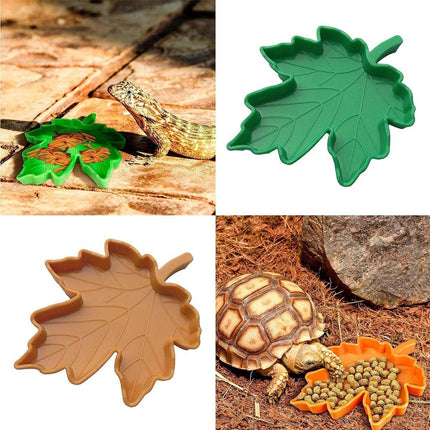 Leaf Shape Reptile Feeding Dish - Natural Food and Water Bowl