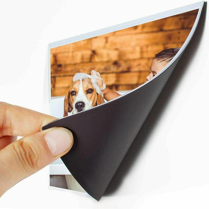 10 Pack Shot2Go Magnetic Picture Photo Fridge Frames Holds a 6x4 inch photo - Aimall
