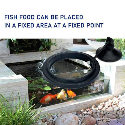 Fish Feeding Ring Aquarium Fish Tank Feeder Floating Fish Food Feeder Fish Food Blue - Aimall