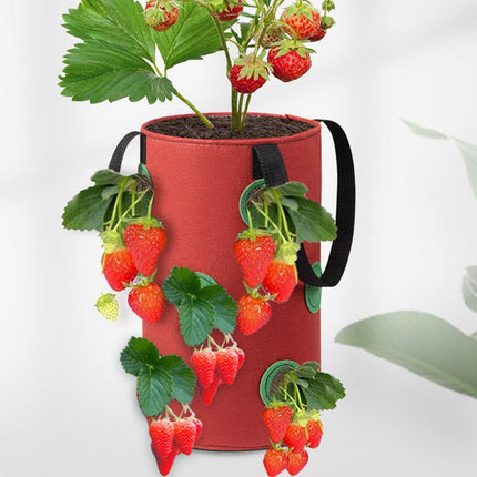 3pcs Hanging Planter Bags for Strawberry Growing Horticultural Nursery Use
